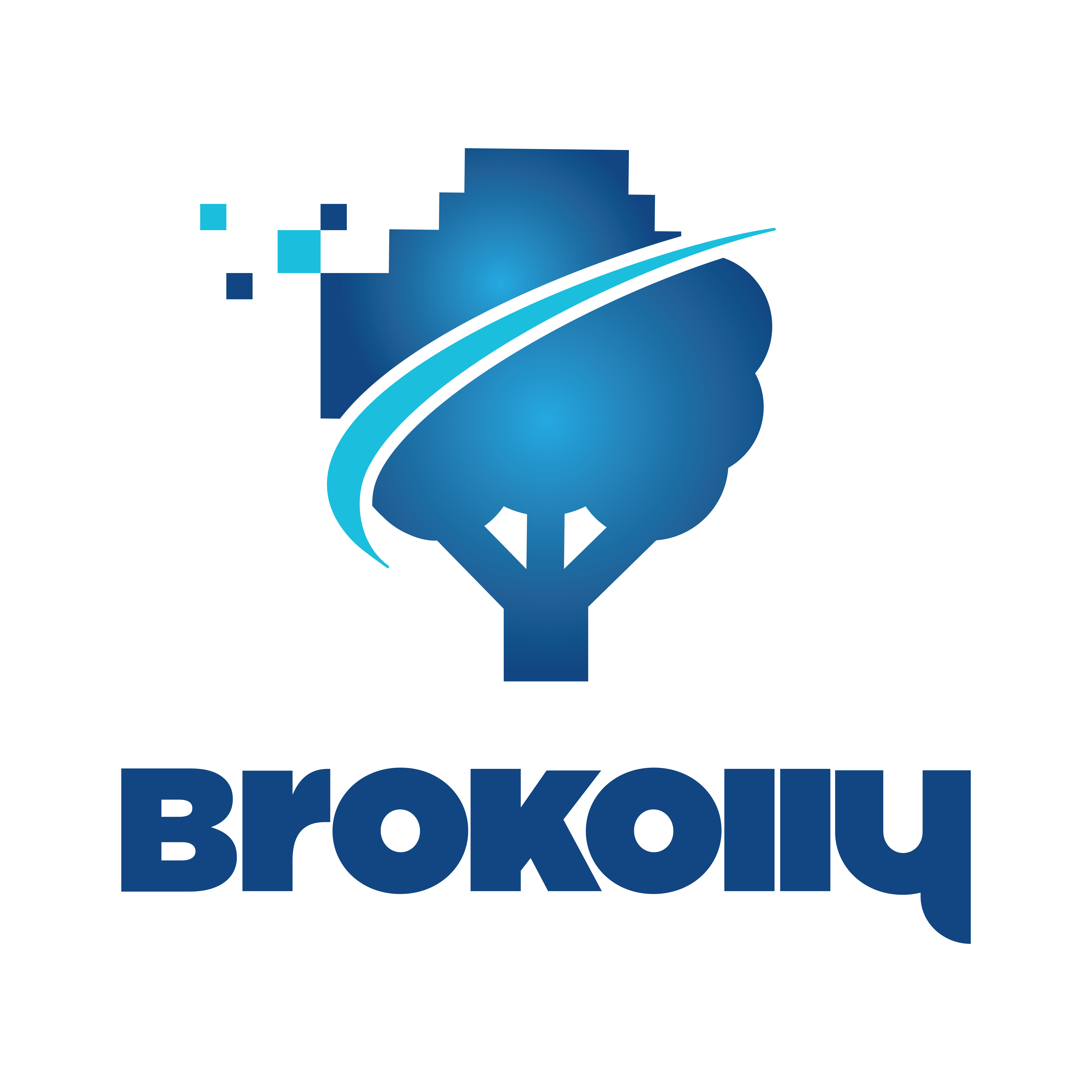 Brokolly Sunum (Türkçe)