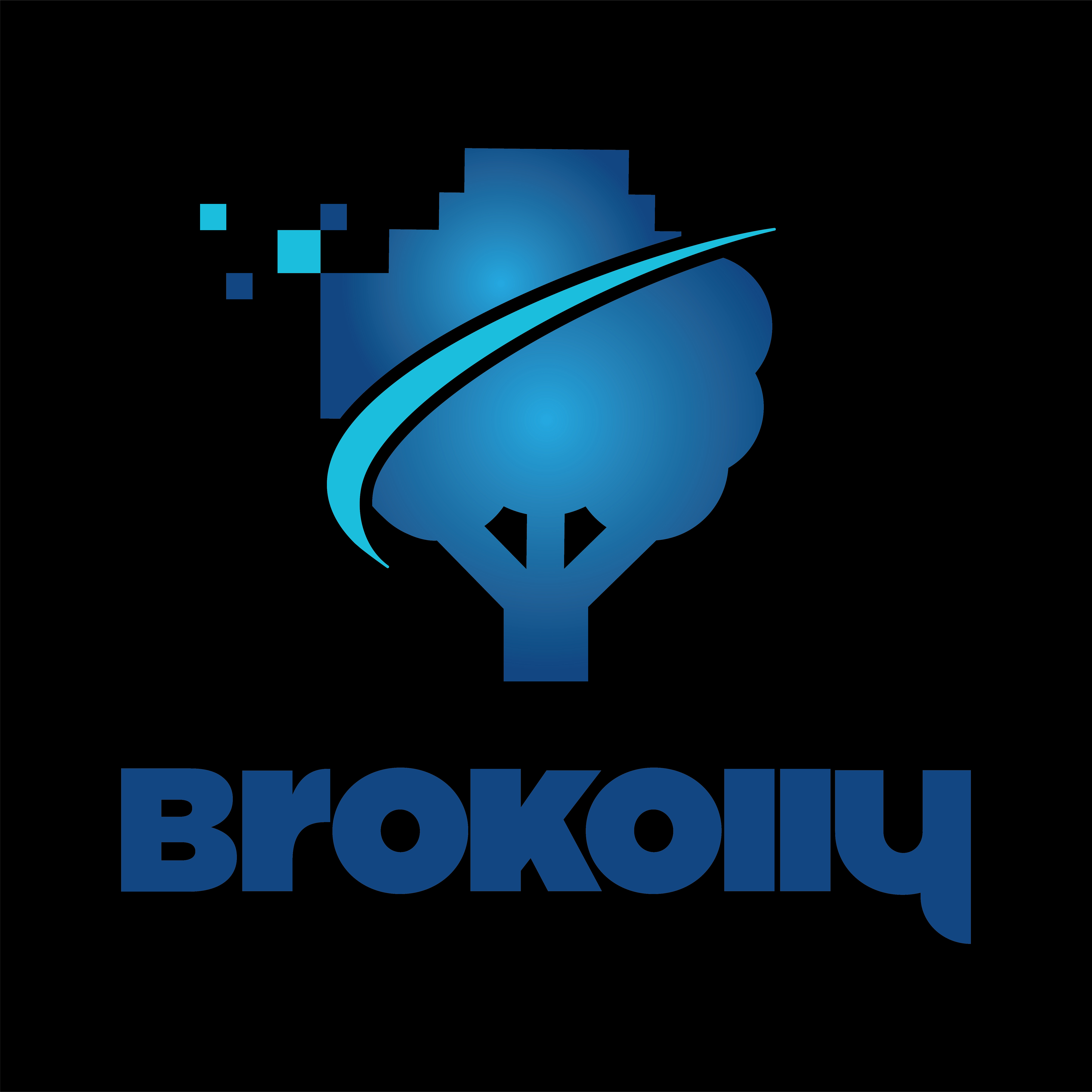 Brokolly Sunum (İngilizce)